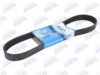 VOLVO 978238 V-Ribbed Belts